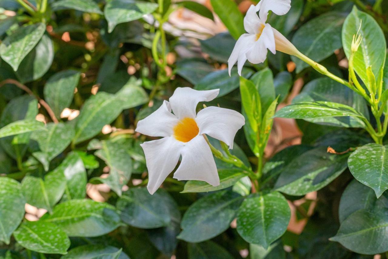 Múggia Casamargherita מראה חיצוני תמונה